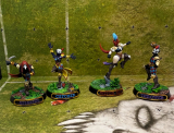 Harlequin Elves
